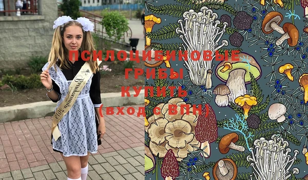 прущая мука Нефтегорск