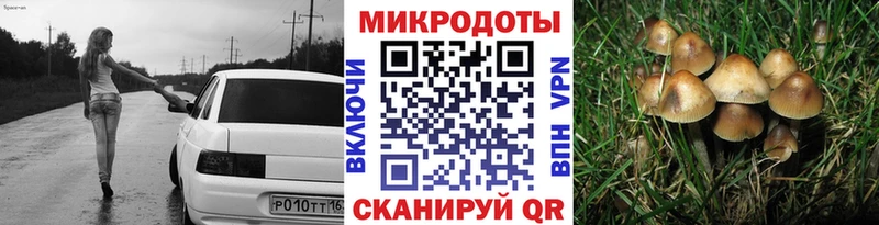 Галлюциногенные грибы мухоморы  Саров 